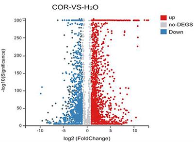 Transcriptome Analysis Identified Gene Regulation Networks in Soybean Leaves Perturbed by the Coronatine Toxin